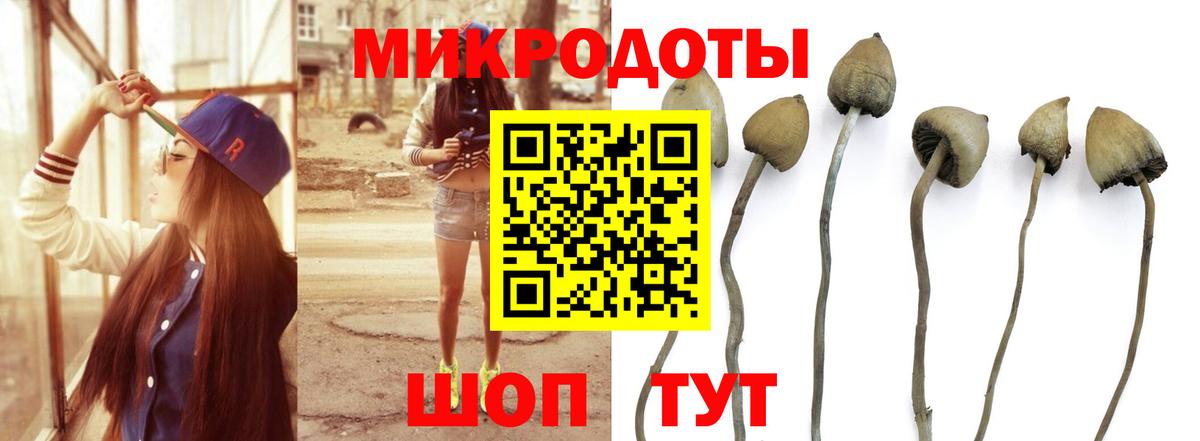 Тихорецк  Галлюциногенные грибы мухоморы  Псилоцибиновые грибы мухоморы  Вход с VPN 